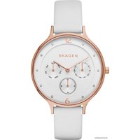 Наручные часы Skagen SKW2311