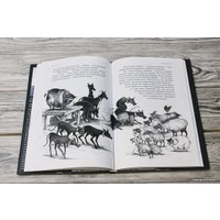 Книга издательства АСТ. Скотный двор 978-5-17-146514-8 в Лиде