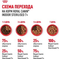 Консервированный корм для кошек Royal Canin Indoor Sterilised 7+ in Jelly кусочки в желе 12x85 г
