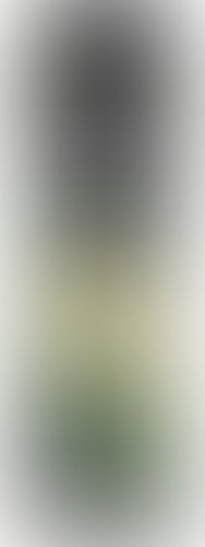Гель интимный Shunga Toko Organica 6100 (165 мл)