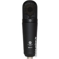 Проводной микрофон Recording Tools MCU-01 (без подставки и держателя)