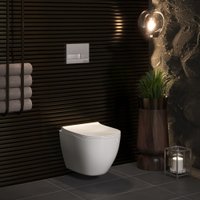 Унитаз подвесной Berges Wasserhaus Novum 043267