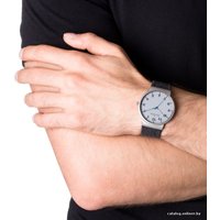 Наручные часы Skagen SKW6097