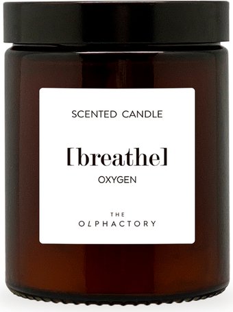 Ambientair The Olphactory. Кислород VV135OXTO