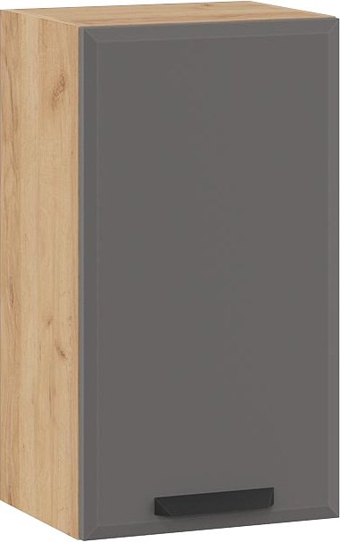 

Шкаф навесной Трия Тиана 1В4 (дуб крафт золотой/асфальт супермат)