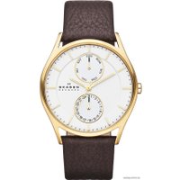 Наручные часы Skagen SKW6066