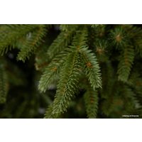 Ель GreenTerra Скандинавская 1.5 м