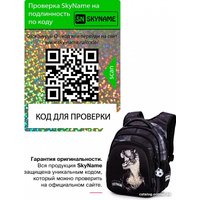 Школьный рюкзак SkyName R2-202 + брелок мячик