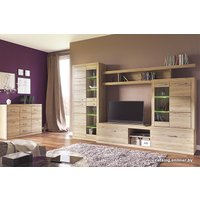 Стенка Anrex Oskar (дуб санремо)