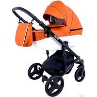 Универсальная коляска Ray Corsa Ecco (2 в 1, 24)