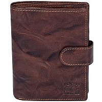 Портмоне с автодокументами Cedar Always Wild N4L-BC (коричневый)