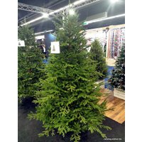 Ель GreenTerra Вилтони 2.1 м