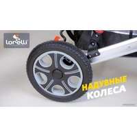 Универсальная коляска Lorelli Lora 2021 (3 в 1, luxe red elephants)
