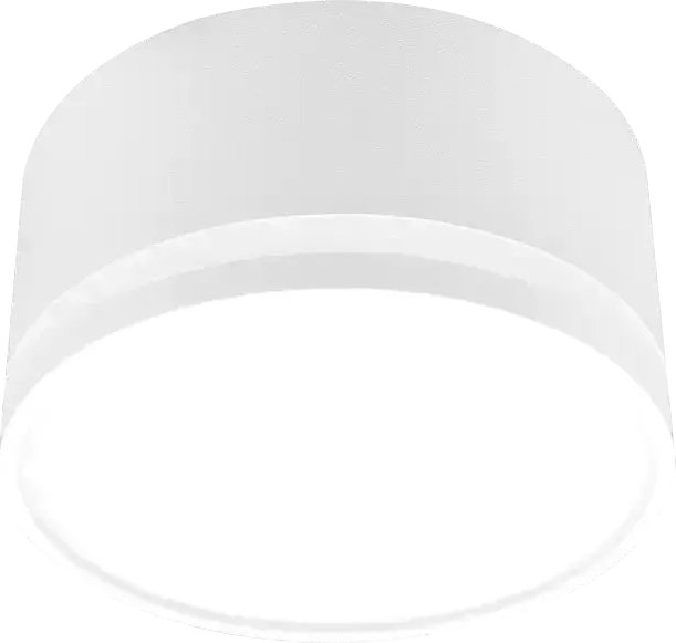 Точечный светильник TruEnergy 21853