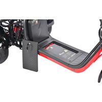 Электроскутер White Siberia CityCoco WS-Pro Trike 3000W 21Ah (с черными брызговиками)