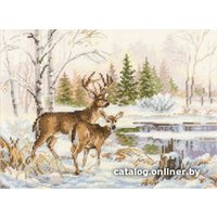 Набор для вышивания Алиса У лесного озера 3-28