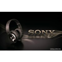 Наушники Sony MDR-XB300