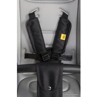 Универсальная коляска Expander Exeo (2 в 1, 05 carbon)