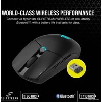 Игровая мышь Corsair Katar Elite Wireless в Мозыре