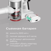 Пылесос RED Solution Soft Clean V3010