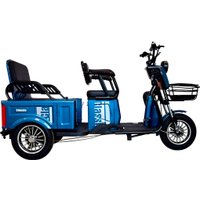 Электроскутер Terax Longi NS006