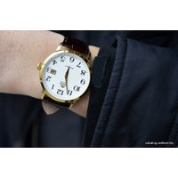 Наручные часы Orient FER27005W