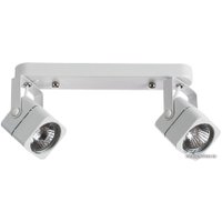 Точечный светильник Arte Lamp Lente A1314PL-2WH