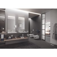 Умывальник Grohe 3947700H с гигиеническим покрытием 60x49