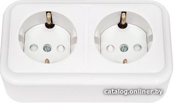 Розетка Bylectrica Пралеска РА16-274 (белый)