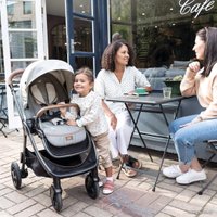 Коляска прогулочная «книга» Joie Finiti (pine)