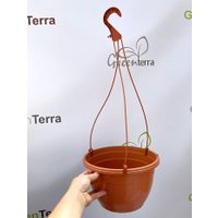 Вазон GreenTerra С подвесом 25/15 см 5 л (5 шт, терракотовый)