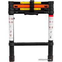 Лестница RockForce RF-UP290 (10 ступеней)