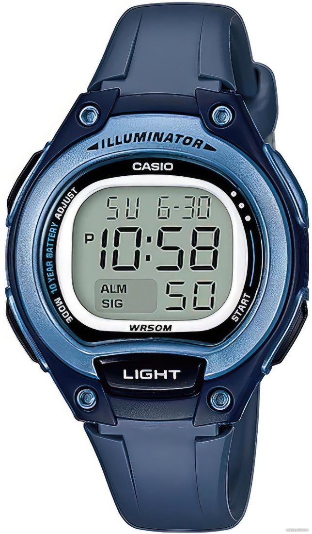 Наручные часы Casio Collection LW-203-2A