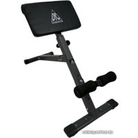 Гиперэкстензия DFC Homegym SJ1006 (черный)