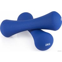 Гантель VictoryFit VF-DN020 2 кг