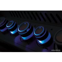 Газовый гриль для дачи Napoleon Prestige PRO-500