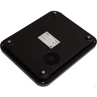 Настольная плита Making Oasis Everywhere PI-BK3S