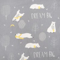 1.5-спальный комплект постельного белья Этель Большие мечты 3617346 в Борисове