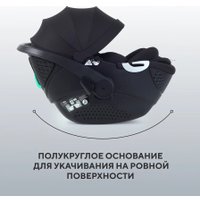Детское автокресло Rant Aster Zero AY378 (черный)