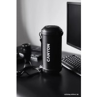 Беспроводная колонка Canyon BSP-7