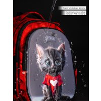 Школьный рюкзак SkyName R1-068 + брелок мишка