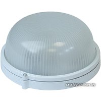 Уличный накладной светильник Юпитер JP1301-02