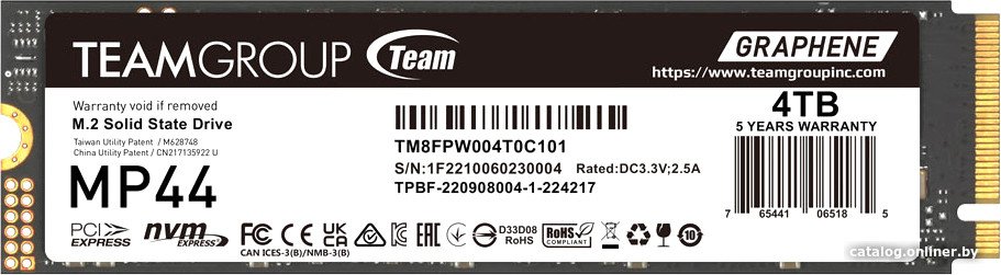 SSD Team MP44 4TB TM8FPW004T0C101