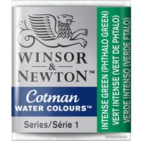 Акварельные краски Winsor & Newton Cotman 301329 (3 шт, густой зеленый)