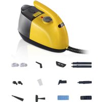 Пароочиститель RAF R.11229