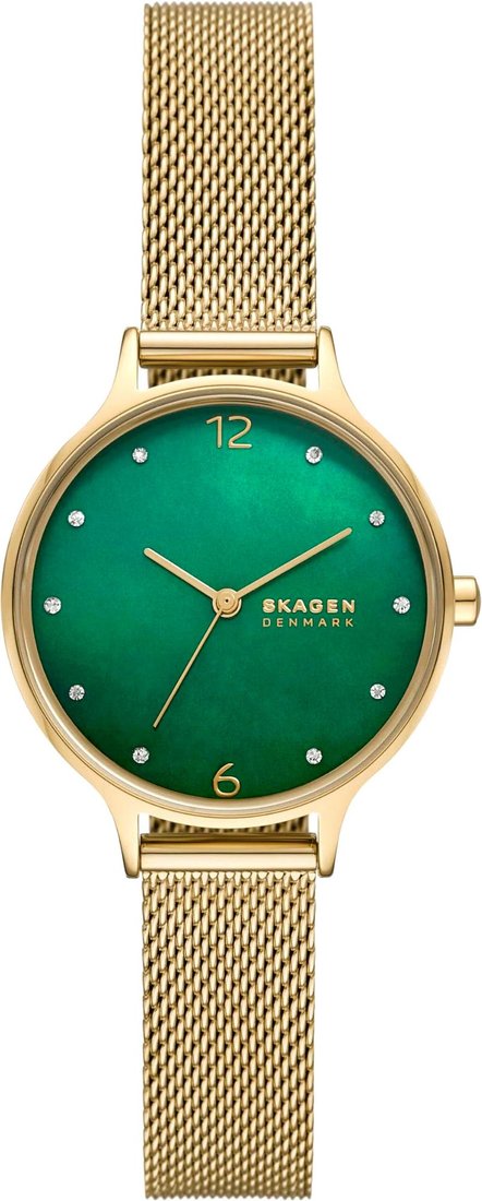 

Наручные часы Skagen SKW3145