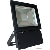 Уличный прожектор SmartBuy SBL-FLSMD-150-65K