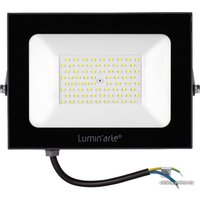 Уличный прожектор Luminarte LFL-100W/05