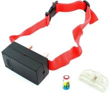 Ошейники, поводки, намордники для животных