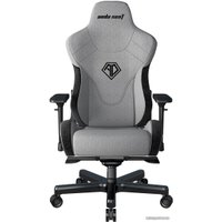 Игровое (геймерское) кресло AndaSeat T-Pro 2 (серый/черный)